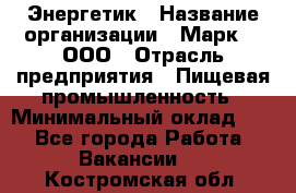 Энергетик › Название организации ­ Марк 4, ООО › Отрасль предприятия ­ Пищевая промышленность › Минимальный оклад ­ 1 - Все города Работа » Вакансии   . Костромская обл.